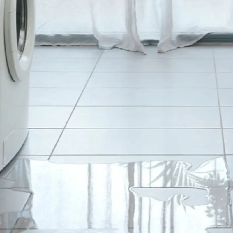 Appliance Leak Cleanup in Poinciana, FL